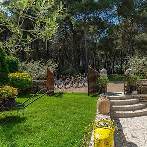 Rita Apartman